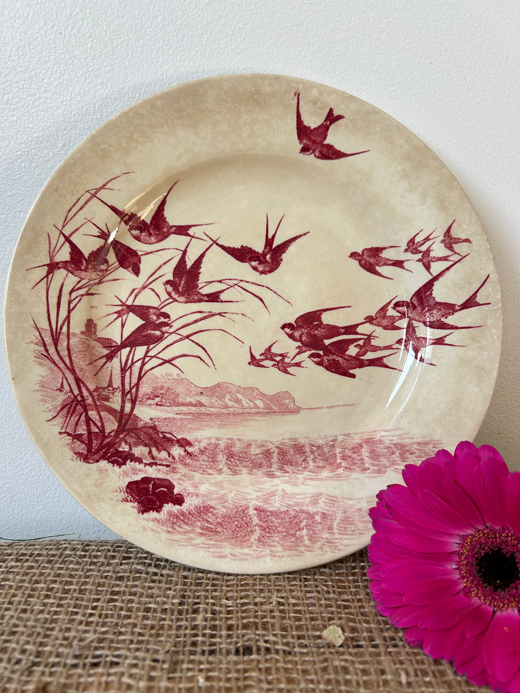 Pink Transferware Swallow Plate