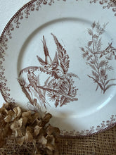 Load image into Gallery viewer, French Vintage Neutral Brown Transfeware Plate
