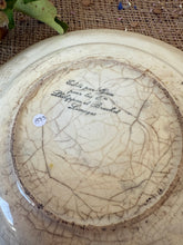 Load image into Gallery viewer, Pretty Dog Rose Floral Plates
