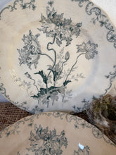 Load image into Gallery viewer, Lovely French Poppy Ironstone Plates
