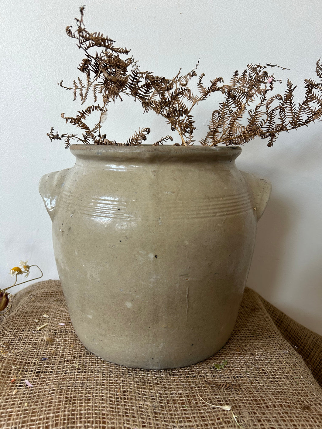 Beautiful French Medium Sized Muted Confit Pot