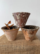 Load image into Gallery viewer, Sappiest of French Sap Pots
