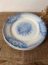 Load image into Gallery viewer, Pretty Blue French Sarreguimes Jardiniere Plates
