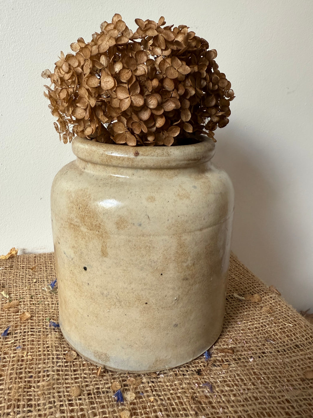 French Ironstone pot
