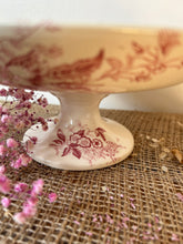 Load image into Gallery viewer, Pretty Pink Transferware Raised Plate
