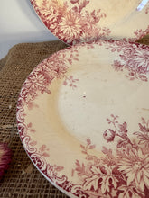 Load image into Gallery viewer, French Fleurs D’Automn Pink Transferware Plates
