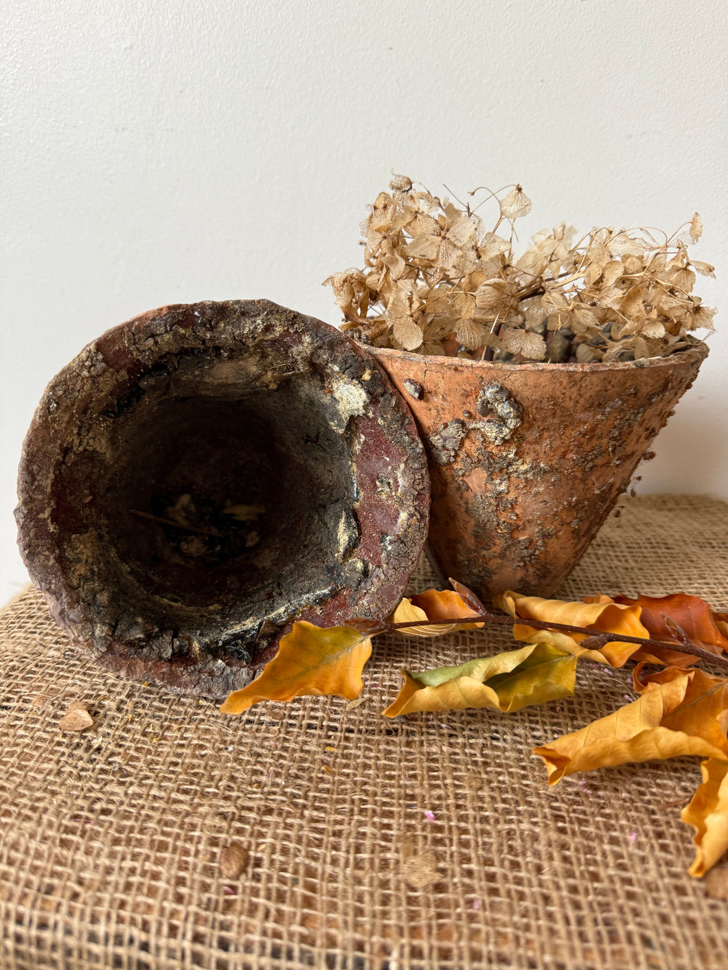 French Sap Resin Pots