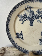Load image into Gallery viewer, French Vintage Cockatoo Transferware Plate

