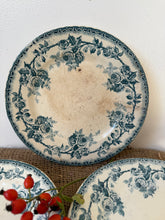 Load image into Gallery viewer, Pretty Dog Rose Floral Plates
