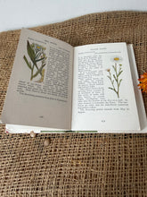 Load image into Gallery viewer, Observers Vintage Book of Wild Flowers
