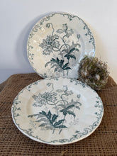 Load image into Gallery viewer, Delicate Pavots Green Transfeware Ironstone Plates
