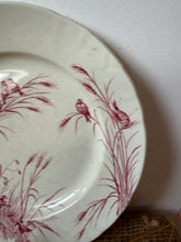 Load image into Gallery viewer, Beautiful Crazed French Pink Transferware Birds Plate
