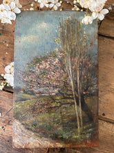 Load image into Gallery viewer, French Spring Oil on Board
