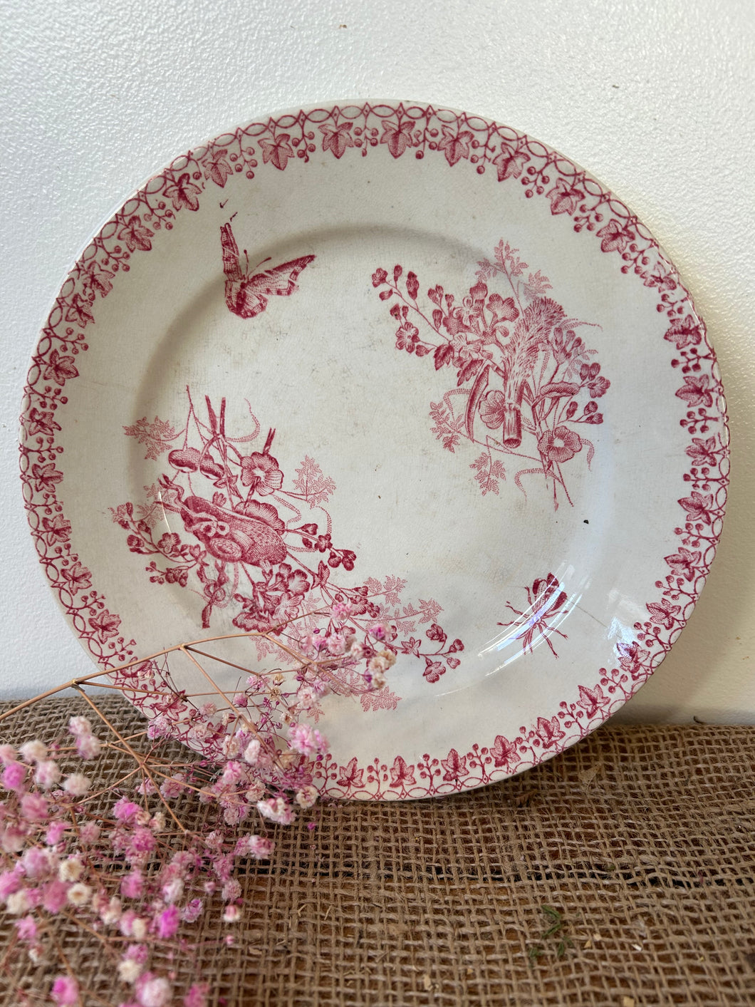 French Ironstone Plate