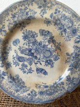 Load image into Gallery viewer, Beautifully Buttery Asiastic Pheasant Vintage Plate
