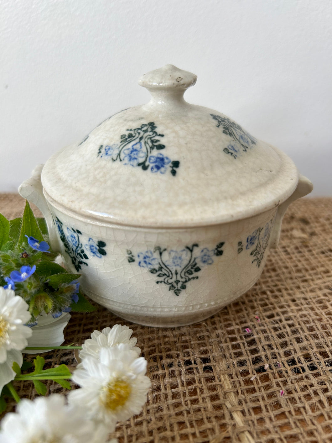 French St Uze Ironstone Lidded Pot