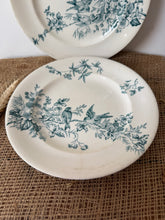 Load image into Gallery viewer, Pretty Bluey Green Floral Bird Ironstone Plates
