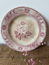 Load image into Gallery viewer, Gorgeous Buttery and Crazed Pink Floral Plate

