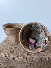 Load image into Gallery viewer, French Resin Sap Pots
