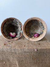 Load image into Gallery viewer, French Resin Sap Pots
