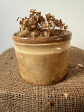 Load image into Gallery viewer, Ironstone Buttery Wide Confiture Pot

