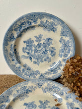 Load image into Gallery viewer, Gentle Blue Antique Asiatic Pheasant Plates

