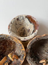 Load image into Gallery viewer, Sappiest of French Sap Pots
