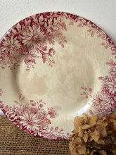 Load image into Gallery viewer, Beautiful Fleurs D’automme Pink Buttery Plates
