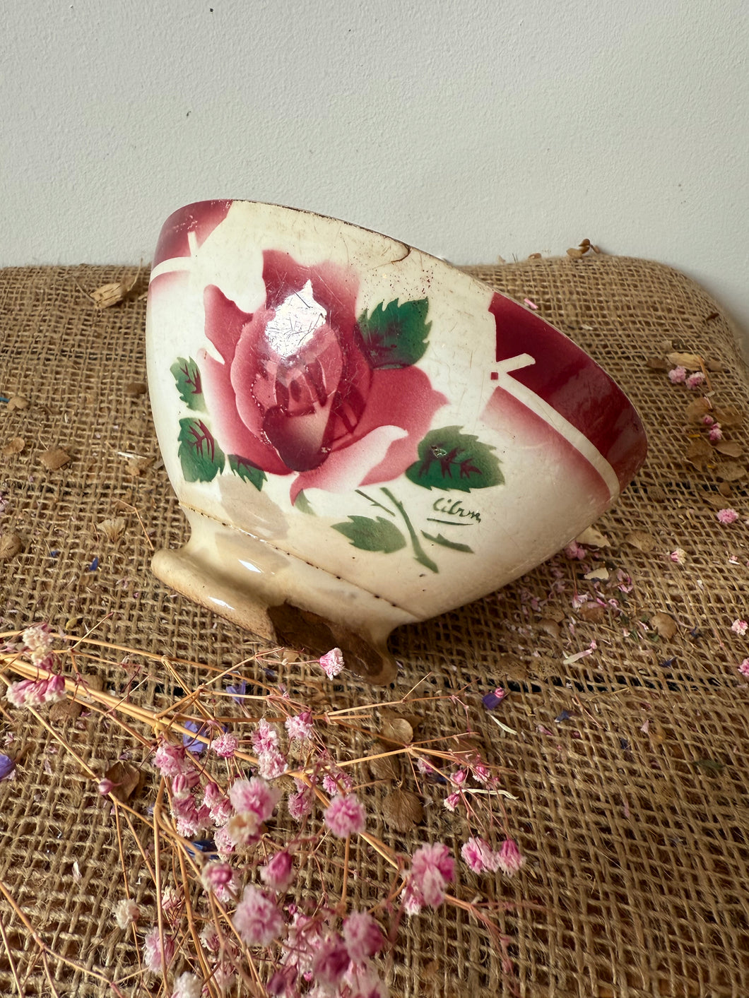 Beautiful French Rose Cafe au Lait