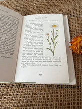 Load image into Gallery viewer, Observers Vintage Book of Wild Flowers
