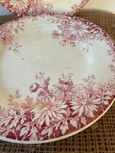 Load image into Gallery viewer, French Fleurs D’Automn Pink Transferware Plates
