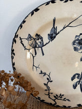 Load image into Gallery viewer, Beautiful Trio Of Birds French Ironstone Plate
