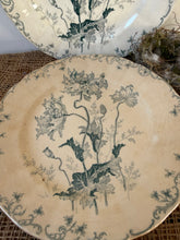 Load image into Gallery viewer, Lovely French Poppy Ironstone Plates
