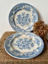 Load image into Gallery viewer, Gentle Blue Antique Asiatic Pheasant Plates
