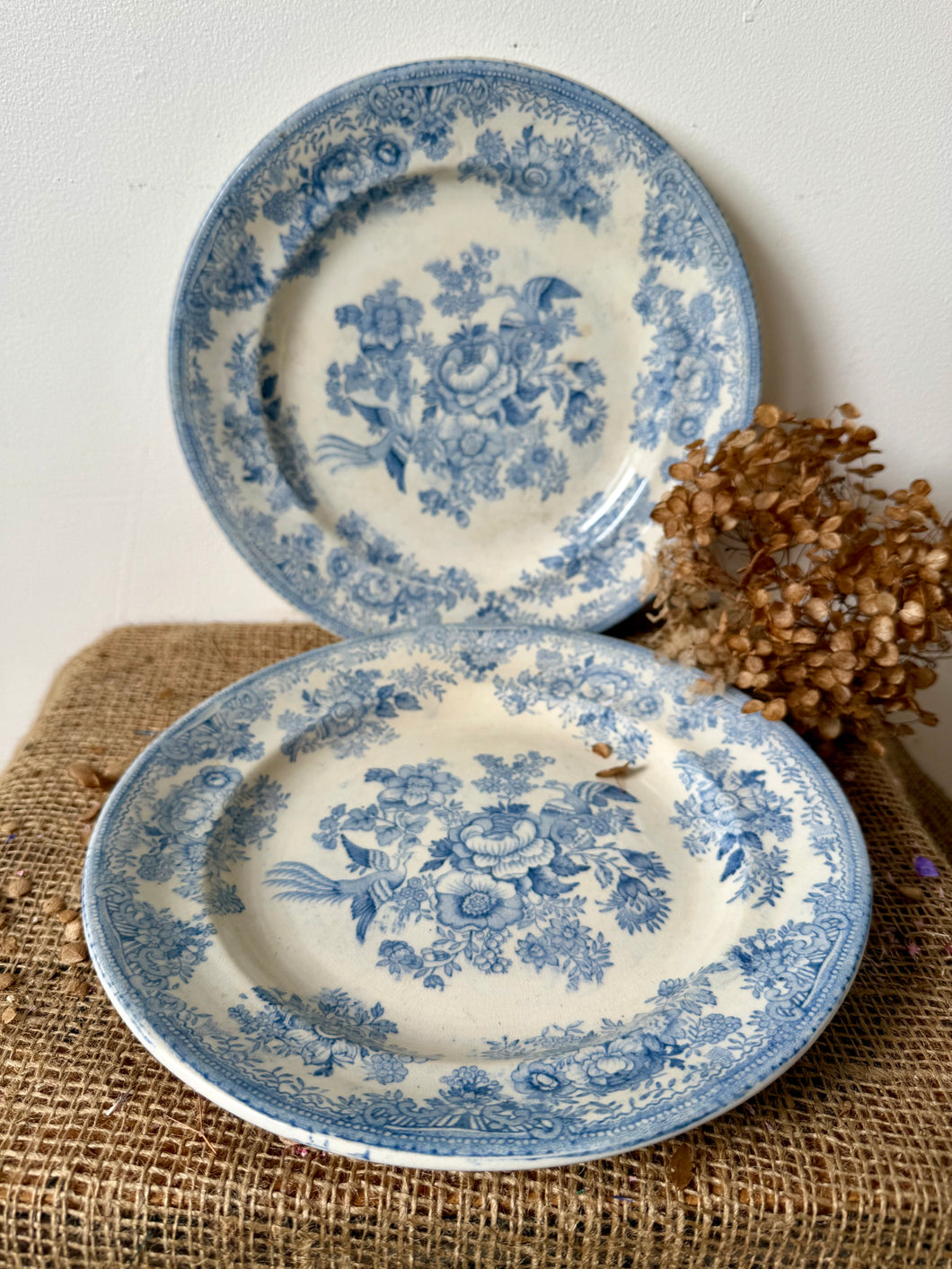 Gentle Blue Antique Asiatic Pheasant Plates