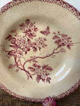 Load image into Gallery viewer, French Buttery Pink Transferware Plate
