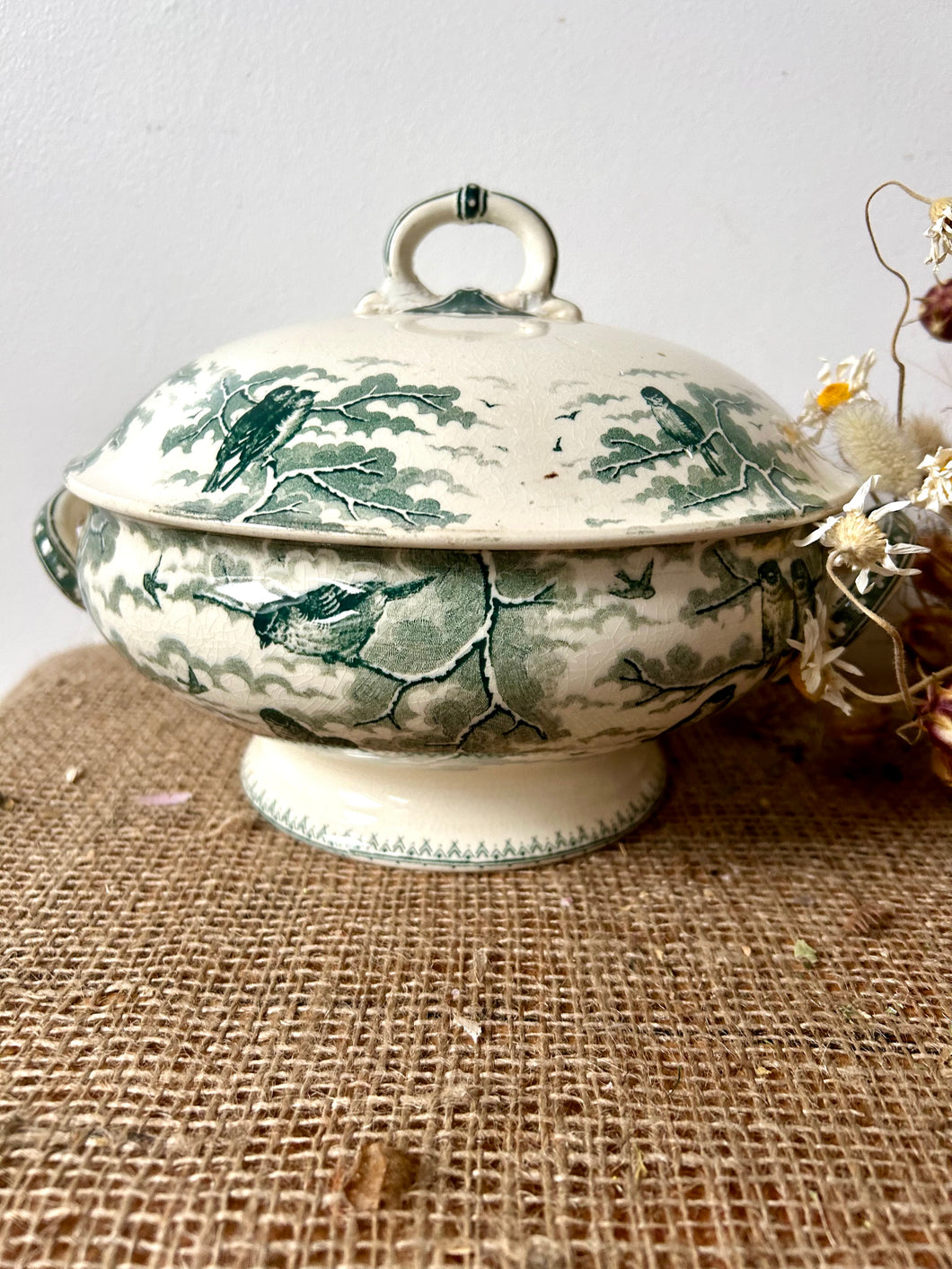 French ‘La Neige’ Transferware Soupiere