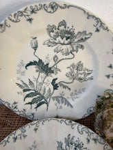 Load image into Gallery viewer, Pretty French Green Transferware Poppy Plates
