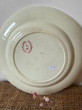 Load image into Gallery viewer, Beautiful Crazed French Pink Transferware Birds Plate
