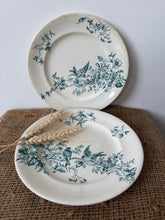 Load image into Gallery viewer, Pretty Bluey Green Floral Bird Ironstone Plates
