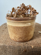 Load image into Gallery viewer, Ironstone Buttery Wide Confiture Pot
