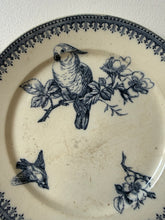 Load image into Gallery viewer, French Vintage Cockatoo Transferware Plate
