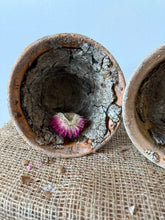 Load image into Gallery viewer, French Resin Sap Pots
