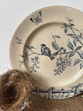 Load image into Gallery viewer, French Blue Bird Transfeware Plate
