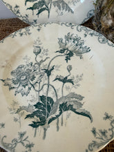 Load image into Gallery viewer, Pretty French Green Transferware Poppy Plates
