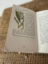 Load image into Gallery viewer, Observers Vintage Book of Wild Flowers
