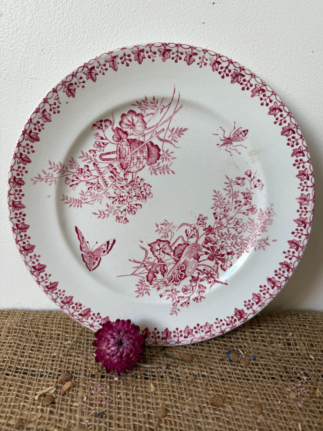 French Pink Ironstone Plate