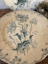 Load image into Gallery viewer, Lovely French Poppy Ironstone Plates
