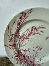 Load image into Gallery viewer, Beautiful Crazed French Pink Transferware Birds Plate
