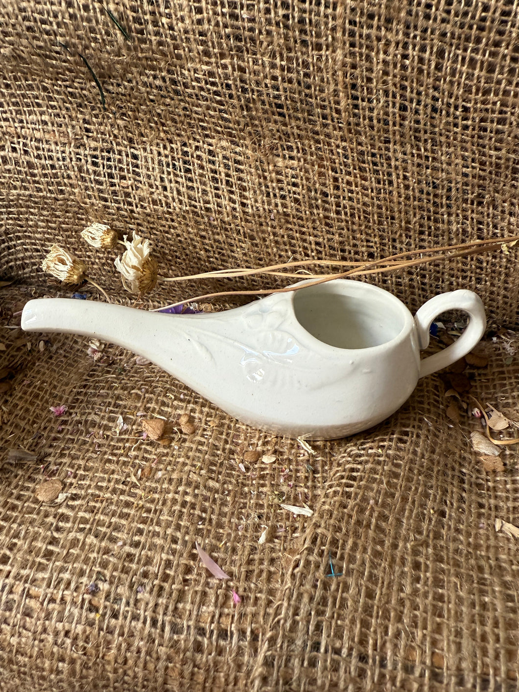 French White Vintage Canard
